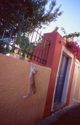 һ^DƬ
 ============== 
Cindy: S
