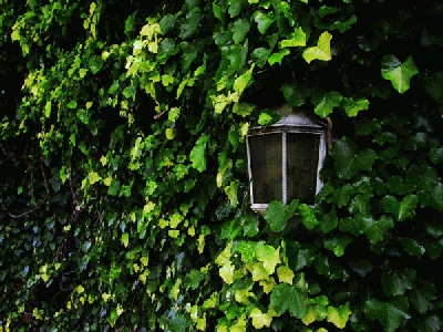 һ^DƬ
 ============== 
light
