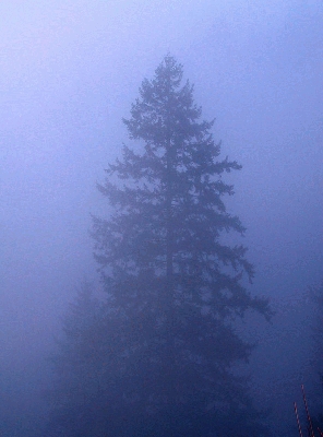 һ^DƬ
 ============== 
lonely
