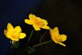 050330-02.jpg