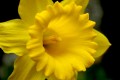 050330-03.jpg