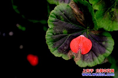 ��һ���^�������DƬ
 ============== 
