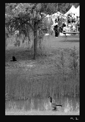 һ^DƬ
 ============== 
