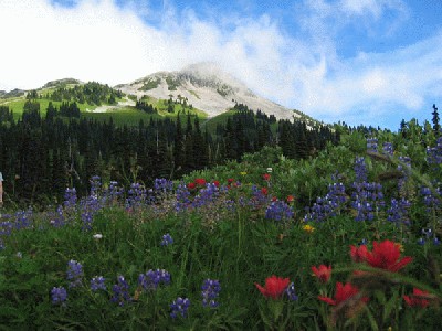 һ¹ۿͼƬ
 ============== 
Summer mount
