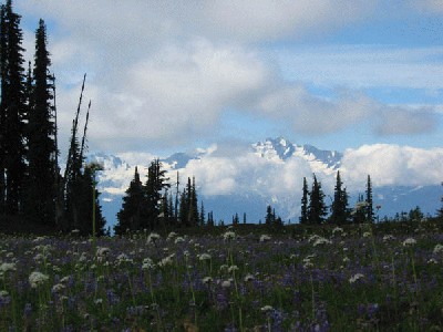 һ¹ۿͼƬ
 ============== 
Mount on the far side
