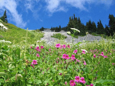 һ^DƬ
 ============== 
The Range
On the way of summer
