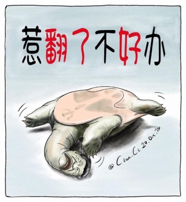 ��һ���^�������DƬ
 ============== 
