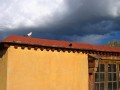 IMG_91461.jpg