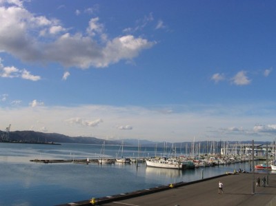 ��һ�¹ۿ�����ͼƬ
 ============== 
Wellington 1

