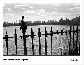 central_park_reservoir.jpg