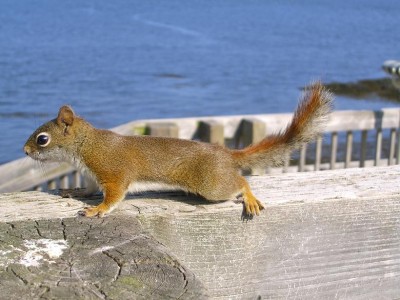 һ^DƬ
 ============== 
ɐ۵
casio ex-z750
Focal Length 14mm
F-Number f/4
Exposure Time 1/500sec
ɵC,Ԅӵ.
611IRVING NATURE PARK( NEW BRUNSWICK).
Xͦɐ,Ͱlρ.
,Ոָ.
