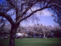 PIC00002.jpg