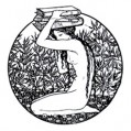 Books-2_small.jpg
