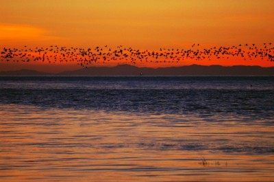 һ^DƬ
 ============== 

ÿϦ
ѩ
xo
չ
    Ϧꖵ¡
