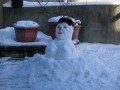 IMG_0859.JPG