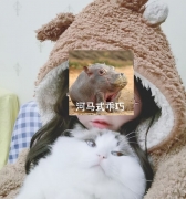 ϴ