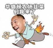 ς