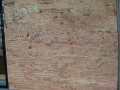 IMG_0395.JPG