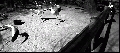 CRW_3994.jpg