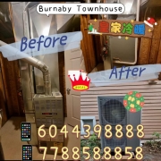 342f4b6a2.jpg