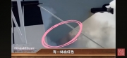 55554668.jpg