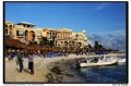 IMG_6504.jpg