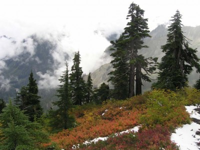 ��һ���^�������DƬ
 ============== 
First snow
