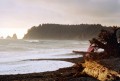 beach01u.jpg