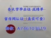 71565276.jpg