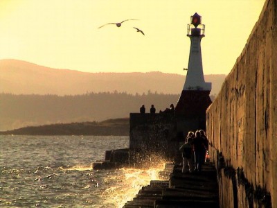 һ^DƬ
 ============== 
