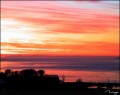 DSC00354.jpg