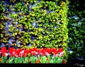 DSC03315.jpg
