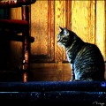 DSC03408.jpg