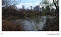 Central park copy.jpg