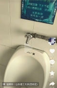 73384351.jpg