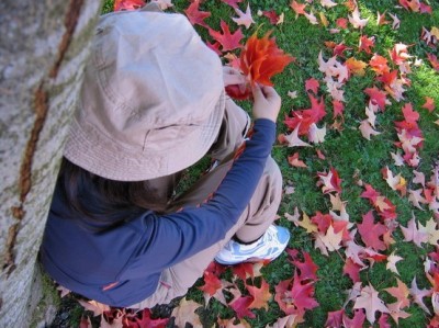 ��һ�¹ۿ�����ͼƬ
 ============== 
2004 autumn
