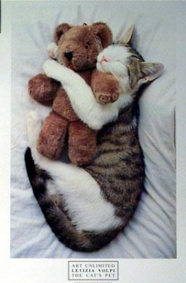 һ¹ۿͼƬ
 ============== 
can not sleep
