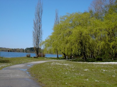 һ^DƬ
 ============== 
Spring
