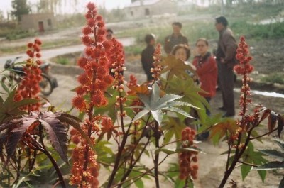 һ^DƬ
 ============== 
34F
(...)
