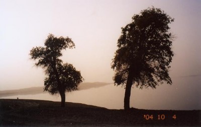 һ^DƬ
 ============== 
34FɳĮ
(...)
