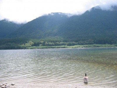 һ^DƬ
 ============== 
ª
Golden Ear
