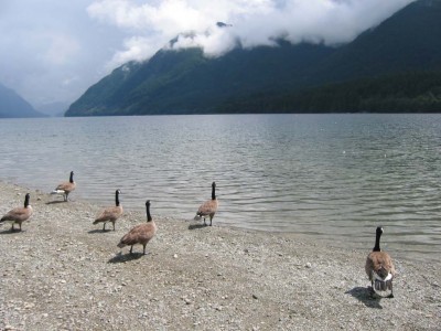 һ^DƬ
 ============== 

Golden Ear
