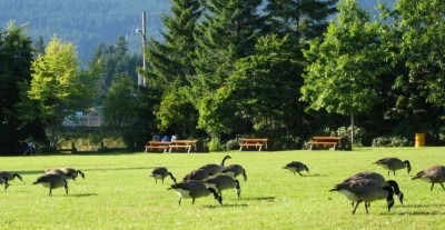 һ^DƬ
 ============== 
