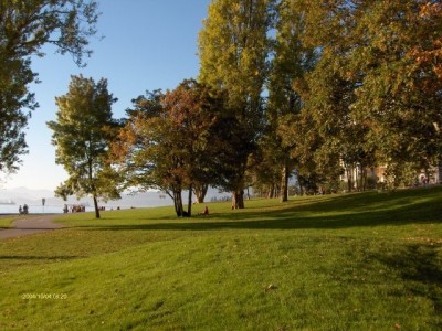 ��һ�¹ۿ�����ͼƬ
 ============== 
English Bay�Ĳݵ�
