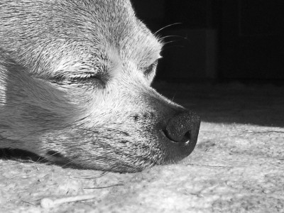 һ^DƬ
 ============== 
މ2
މ2
PI: މ2