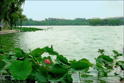 һ^DƬ
 ============== 
һ
PI: 