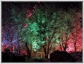 magiclights.jpg