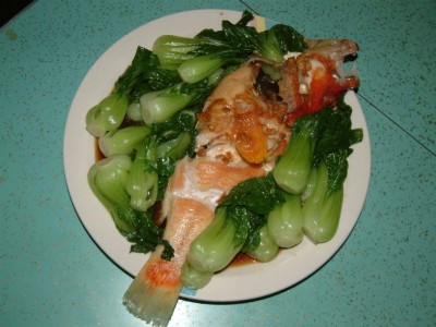 һ¹ۿͼƬ
 ============== 
֦Ҷ(ȡ)  Ϸˮ(ȡ)
ǰߺϺ
ǰúԼõ
ϺԱ
