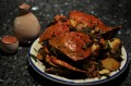 DSC_2806a.jpg