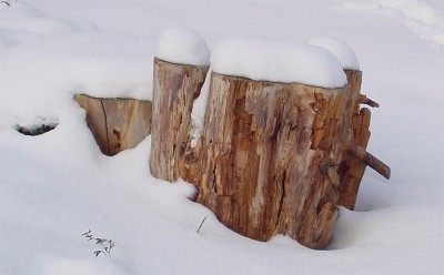 ��һ���^�������DƬ
 ============== 
ѩ��
